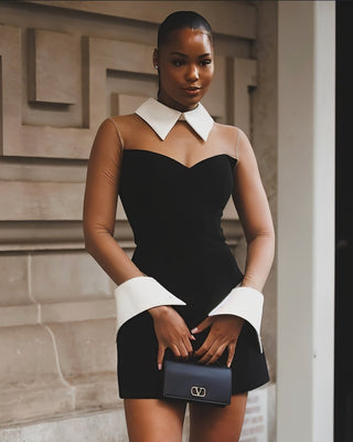 ALIRA Contrast Mesh-Collar Mini Dress-Meeba &amp; Mae