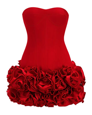 SCARLETTE Corset & Rose Mini Dress Set-Meeba &amp; Mae